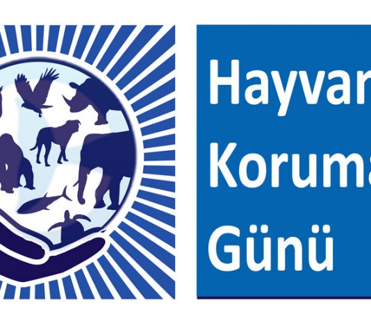 Hayvanları Koruma Günü Nedir? Ne Zaman Kutlanır?